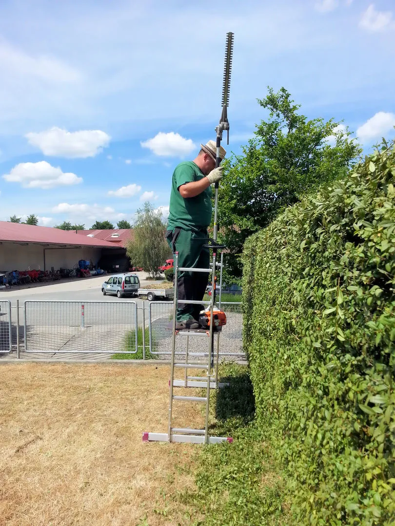 Heckenschnitt und Gartenpflege durch Sertolli Galabau