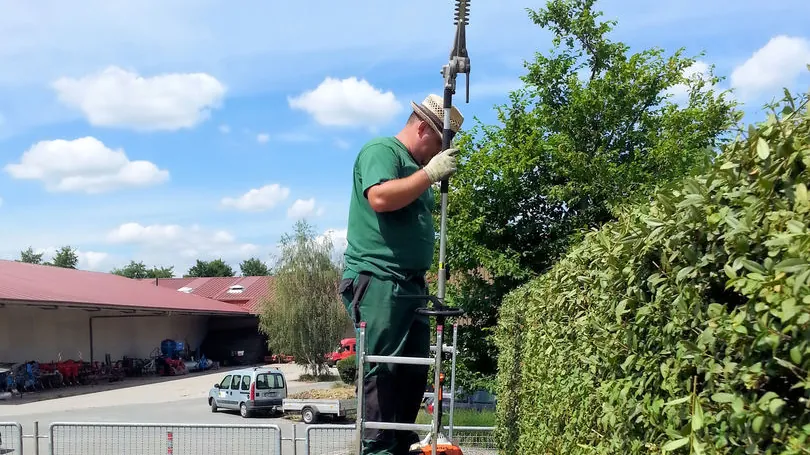 Mitarbeiter von Sertolli Galabau beim Heckenschnitt mit Teleskop-Heckenschere